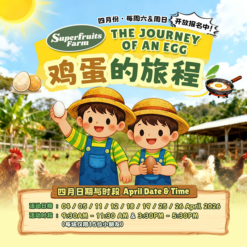 The Journey of an Egg: Kids Farm Experience & Holiday Program