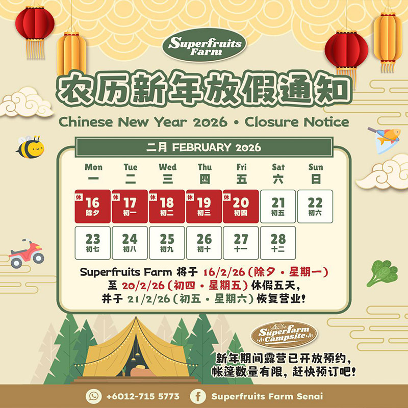 Chinese New Year Closure Notice